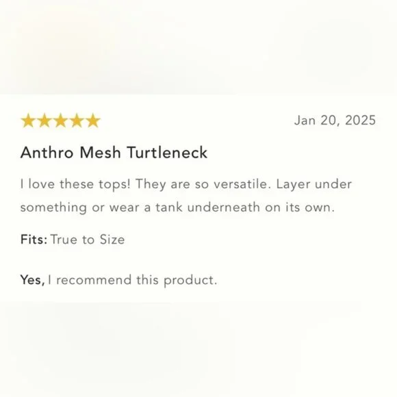 NWT Size M By Anthropologie Mesh Turtleneck Top - Picture 6 of 15